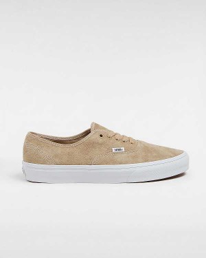 Beige Men Vans Authentic Pig Suede Sneakers NZ | VN5407826