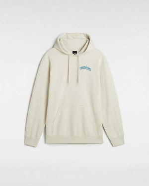 Beige Men Vans True Waves Hoodie NZ | VN6154982