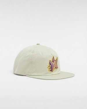 Beige Unisex Vans Skate Star Low Hats NZ | VN7439810