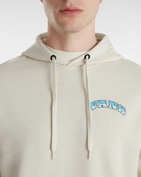 Beige Men Vans True Waves Hoodie NZ | VN6154982