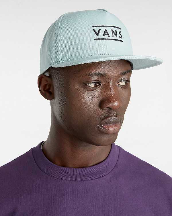 Blue Unisex Vans Half Box Hats NZ | VN2891370