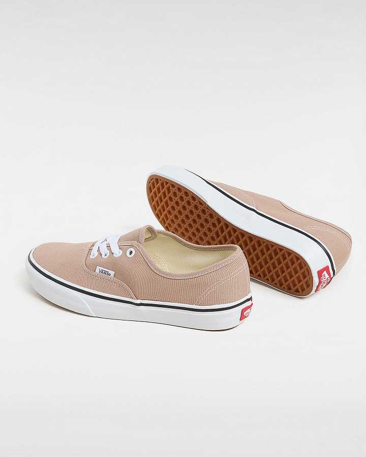 Brown Men Vans Authentic Sneakers NZ | VN9083627