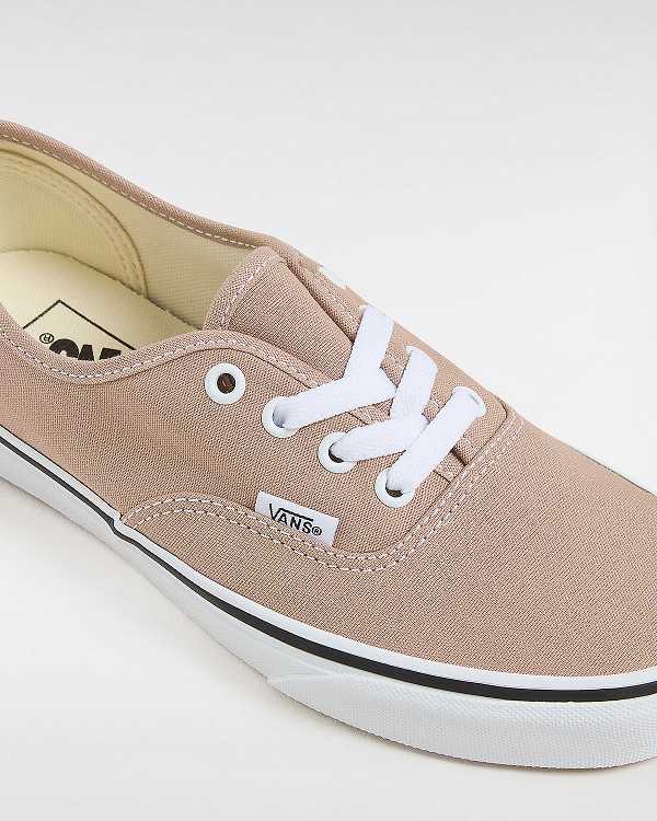 Brown Men Vans Authentic Sneakers NZ | VN9083627