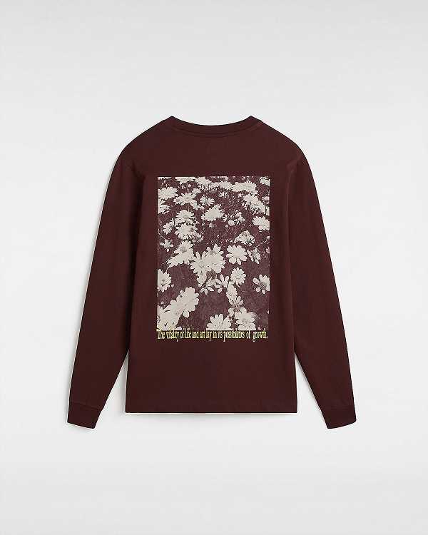 Brown Women Vans Vitality Fields Long Sleeve T Shirts NZ | VN6972418