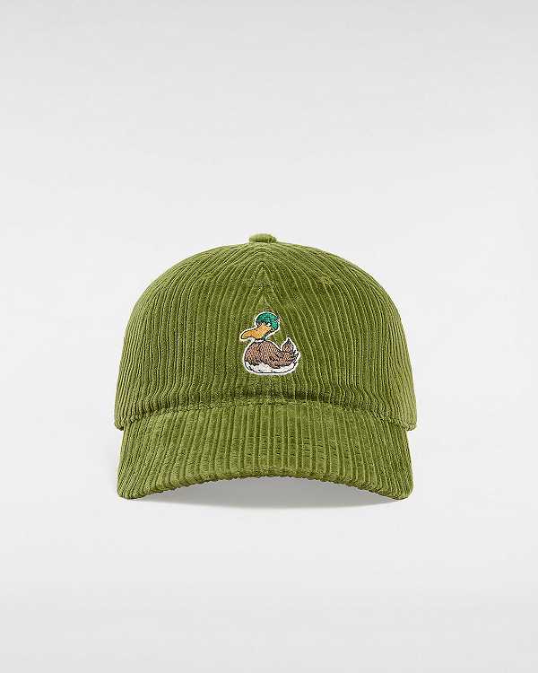 Green Unisex Vans Hosmer Curved Bill Hats NZ | VN2630791