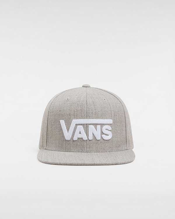 Grey Unisex Vans Drop V Hats NZ | VN3154972