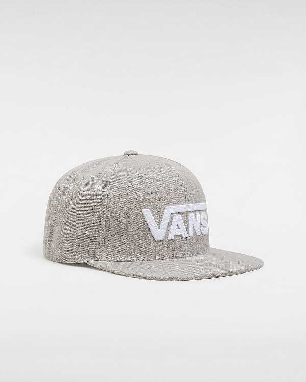 Grey Unisex Vans Drop V Hats NZ | VN3154972